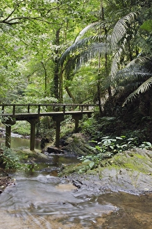 Bridge across a river, Khao Phanom Bencha National Park