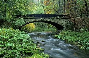Bridges, Polenztal Bridge, Saxon Switzerland