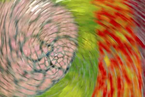 Bright coloured abstract background made by moving camera intentionally with shutter open