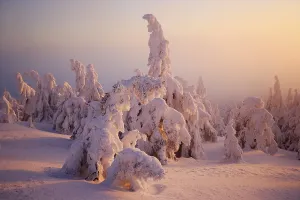 Brockenhexen, so-called Brocken witches