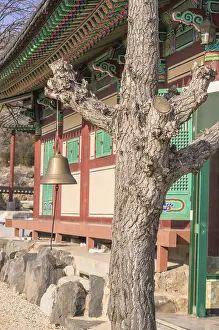 Bronze bell hanging from a tree next to a colorful prayer building at a Buddhist temple in South Korea