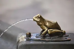 Bronze gilded frog sculpture pouring water