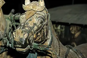 Bronze Horse Closeup Xian China