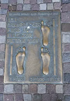 Bronze plaque foot and ulna, metric