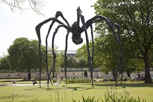 Bronze sculpture Mamon by Louise Bougeois 1999