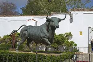 Bronze statue of a fighting bull