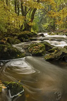 Brook in autumn, Blockheide-Gmuend Nature Park