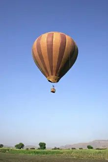 Category Historic EN Prints: Brown coloured striped hot air balloon flying above sugarcane farms