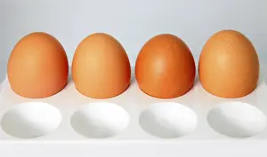 Four brown eggs in cells on a grey background