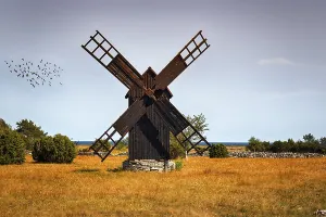 Brown wooden windmill, flock of birds in the evening sky