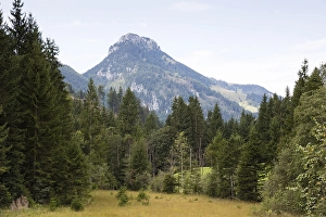 Category Mountain Landscapes Prints: Bruennstein, 1619m, Mangfall Mountains