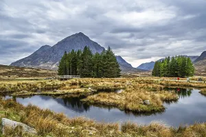 Buachaille Etive Mor or The Buachaille
