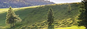 Buckelwiesen between Mittenwald and Kruen