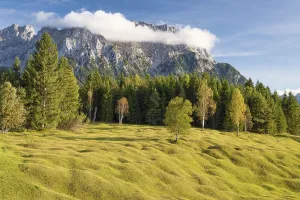 Buckelwiesen between Mittenwald and Kruen