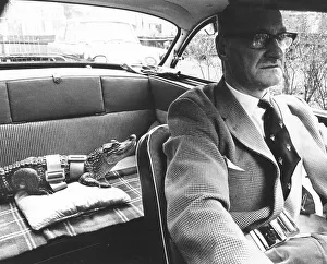 Buckled crocodile in the car, England