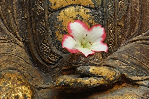 Buddha figure with azalea blossom