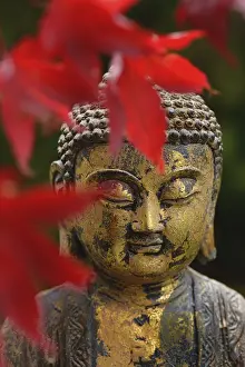 Buddha head with autumn leaves