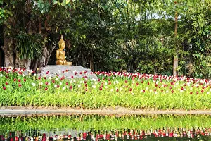 Buddha image under the bodhi tree at puntao temple in chiang mai
