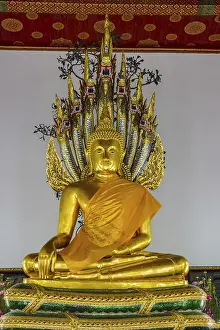 Buddha meditating under the protection of a seven-headed Naga snake