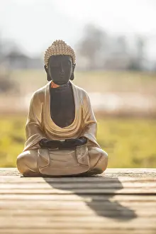 Buddha statue at an Indian temple
