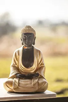 Buddha statue at an Indian temple