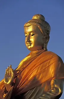 Buddha statue in the morning light
