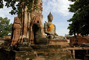 Buddha statue, Wat Mahathat Ayutthaya Temple