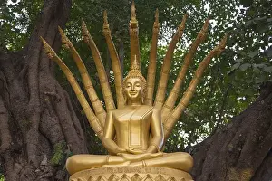 Buddha Statue, Wat Wisunalat, Luang Prabang