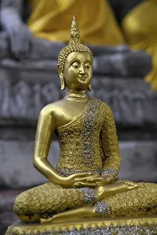 Buddha statue in Wat Yai Chai Mongkhon