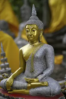 Buddha statue in Wat Yai Chai Mongkhon