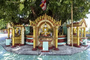 Buddha statues around a huge tree
