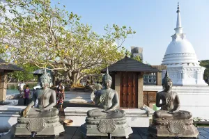 Buddha statues, back white Dagoba