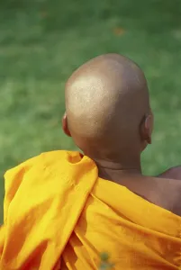 Buddhist monk, bodhgaya, bihar, india