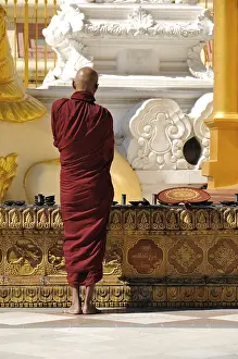 Buddhist monk, Shwedagon Pagoda