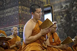 Buddhist monks at prayer, Wat Pho