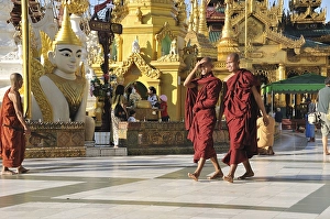 Category Buddhism Prints: Buddhist monks, Shwedagon Pagoda