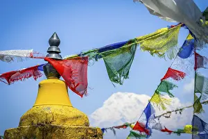 Buddhist prayer flags and the Annapurna in the background