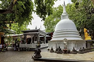A Buddhist temple complex with a white stupa surrounded by Buddha statues and lush greenery