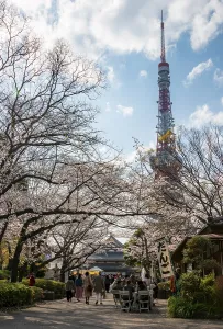 Buddhist temple complex Zojo-ji Temple and Tokyo Tower