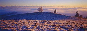 Buechmatt Jura, in the background Weissenstein 1'395
