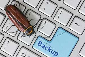 Bug on the computer keybord with backup key for archiving and storage