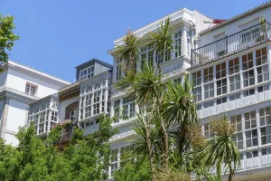 Building with large windows and palm trees in the foreground