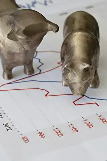 Bull and bear