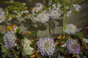 Bunte Bluten schwimmen auf dem Wasser eines Brunnen