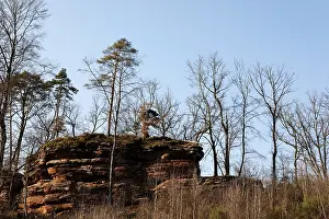 Buntsandstein Formation in the Palatinate Forest