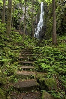 Burgbach Waterfall in Schapbach