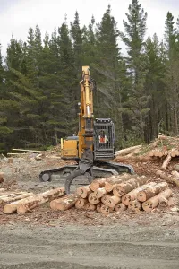 A bushman stacks logs at a milling site in exotic forest on the West Coast