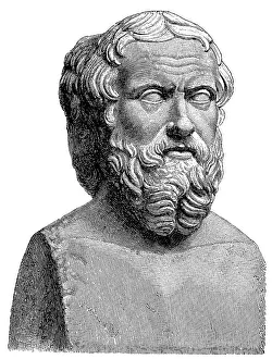 Bust of Herodotus of Halicarnassus