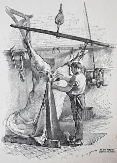 Butcher, Slaughterhouse in Berlin