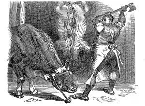 Butcher at Work, 1880, Germany